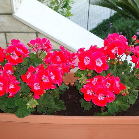 Peric Rooms דוברובניק מראה חיצוני תמונה