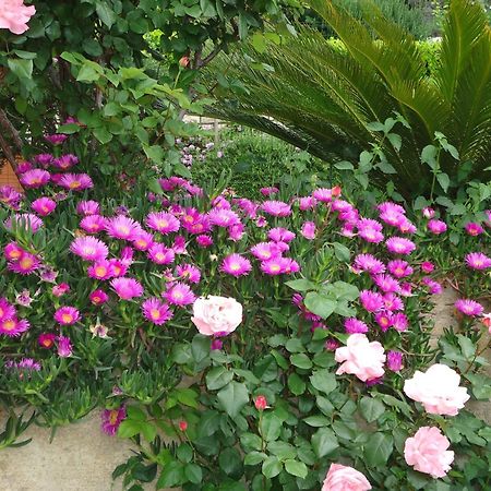 Peric Rooms דוברובניק מראה חיצוני תמונה