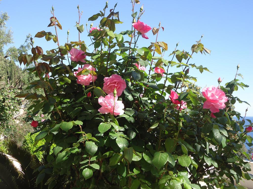Peric Rooms דוברובניק מראה חיצוני תמונה