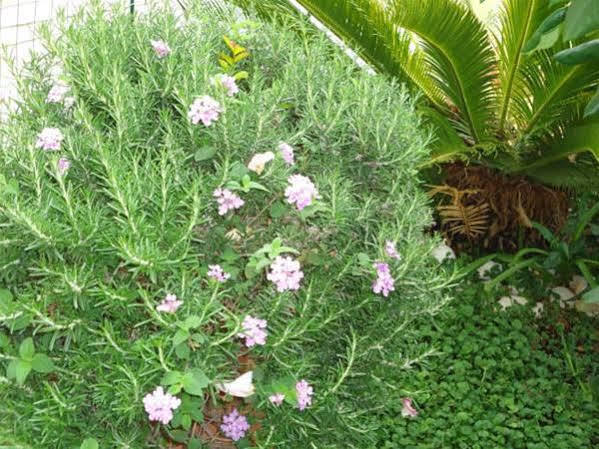 Peric Rooms דוברובניק מראה חיצוני תמונה